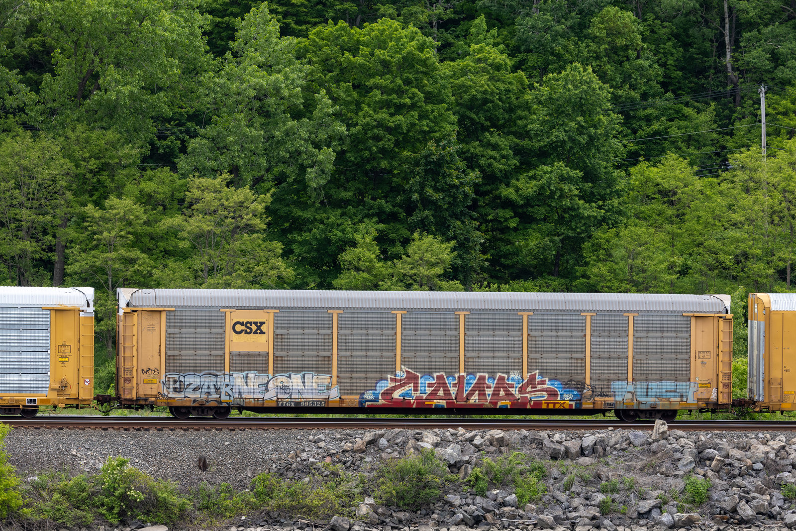 TTGX 995325