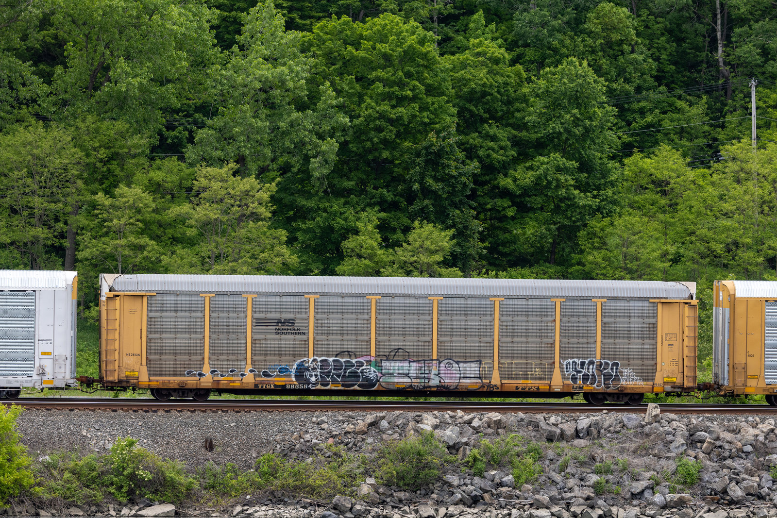 TTGX 996564