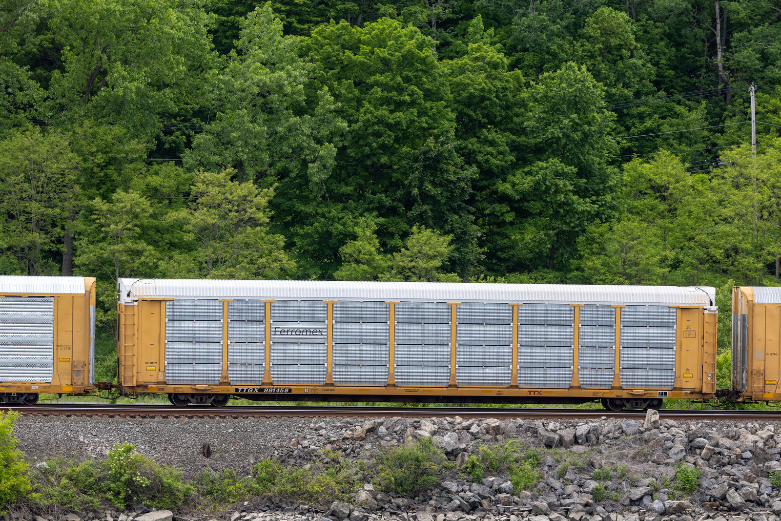TTGX 991458