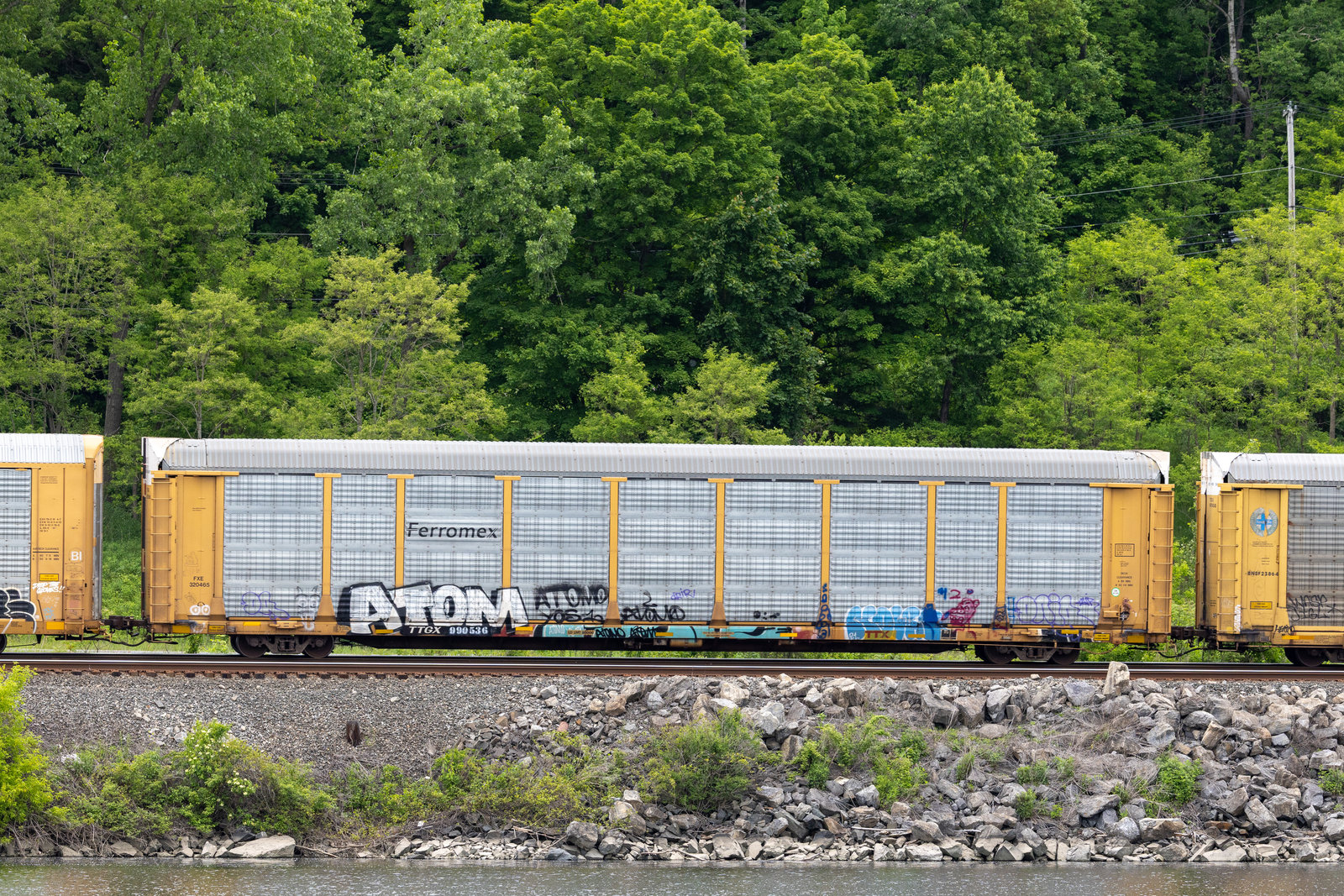 TTGX 990536