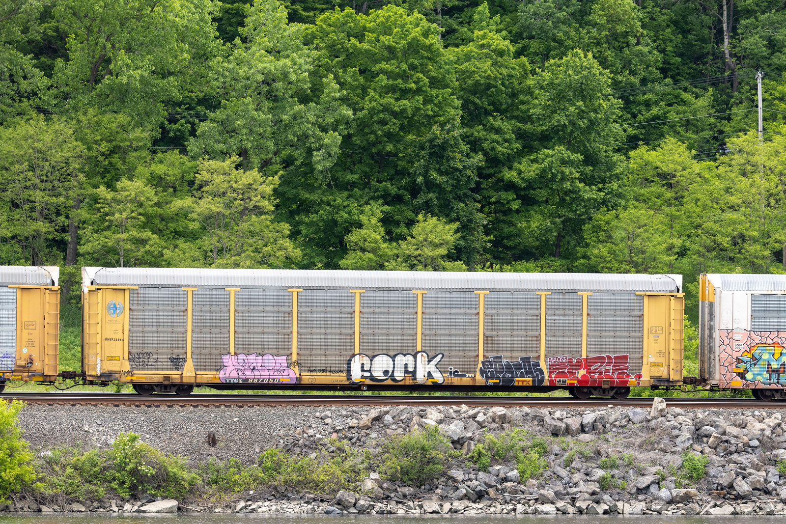 TTGX 987050