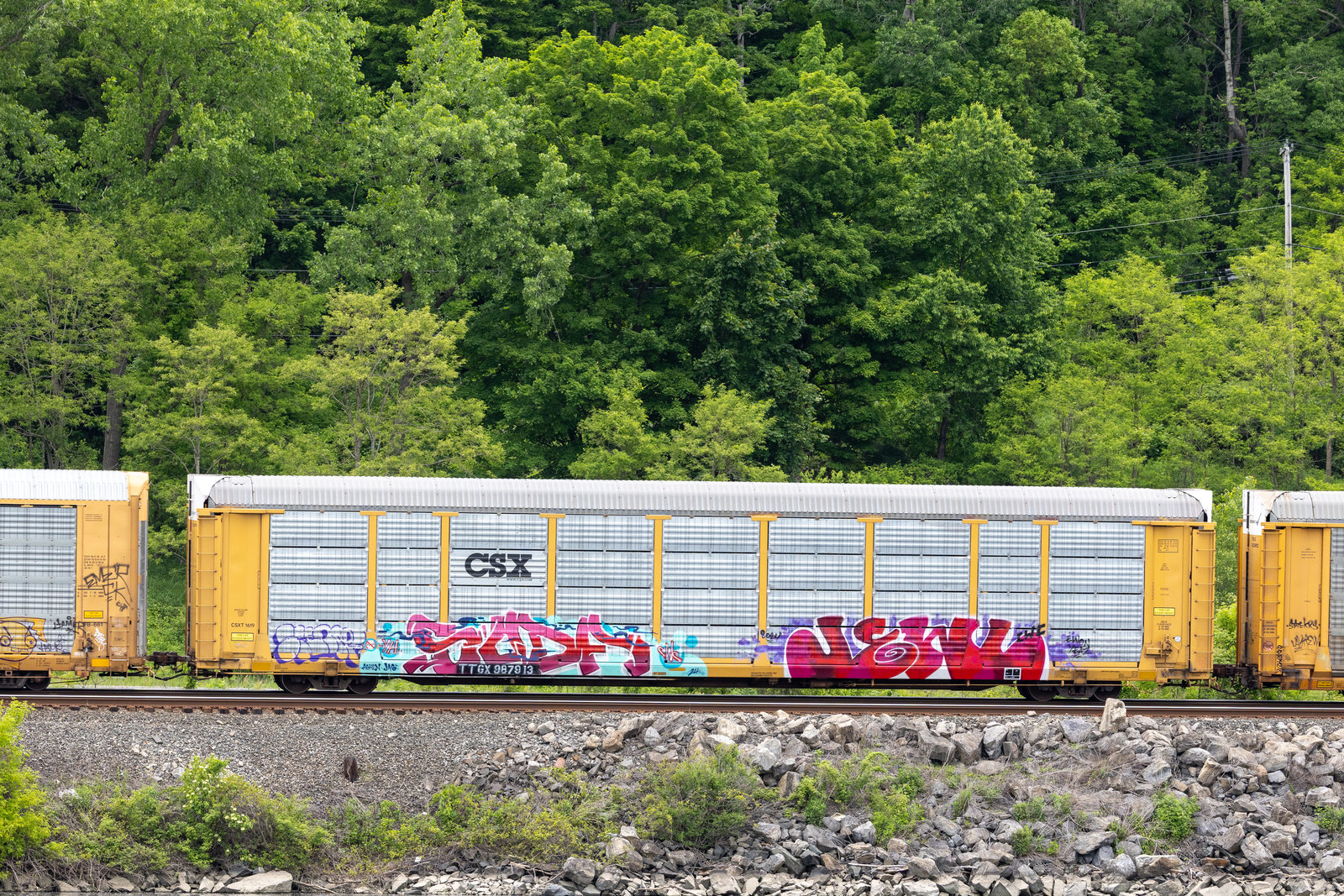 TTGX 987913