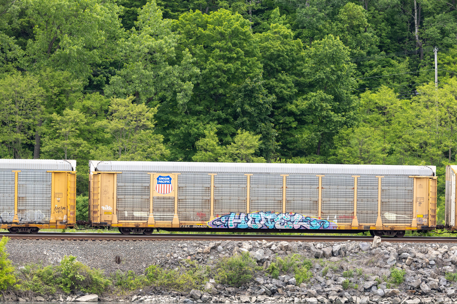 TTGX 994426