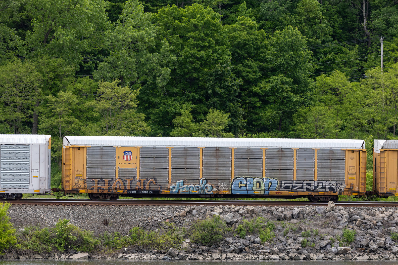 TTGX 983613