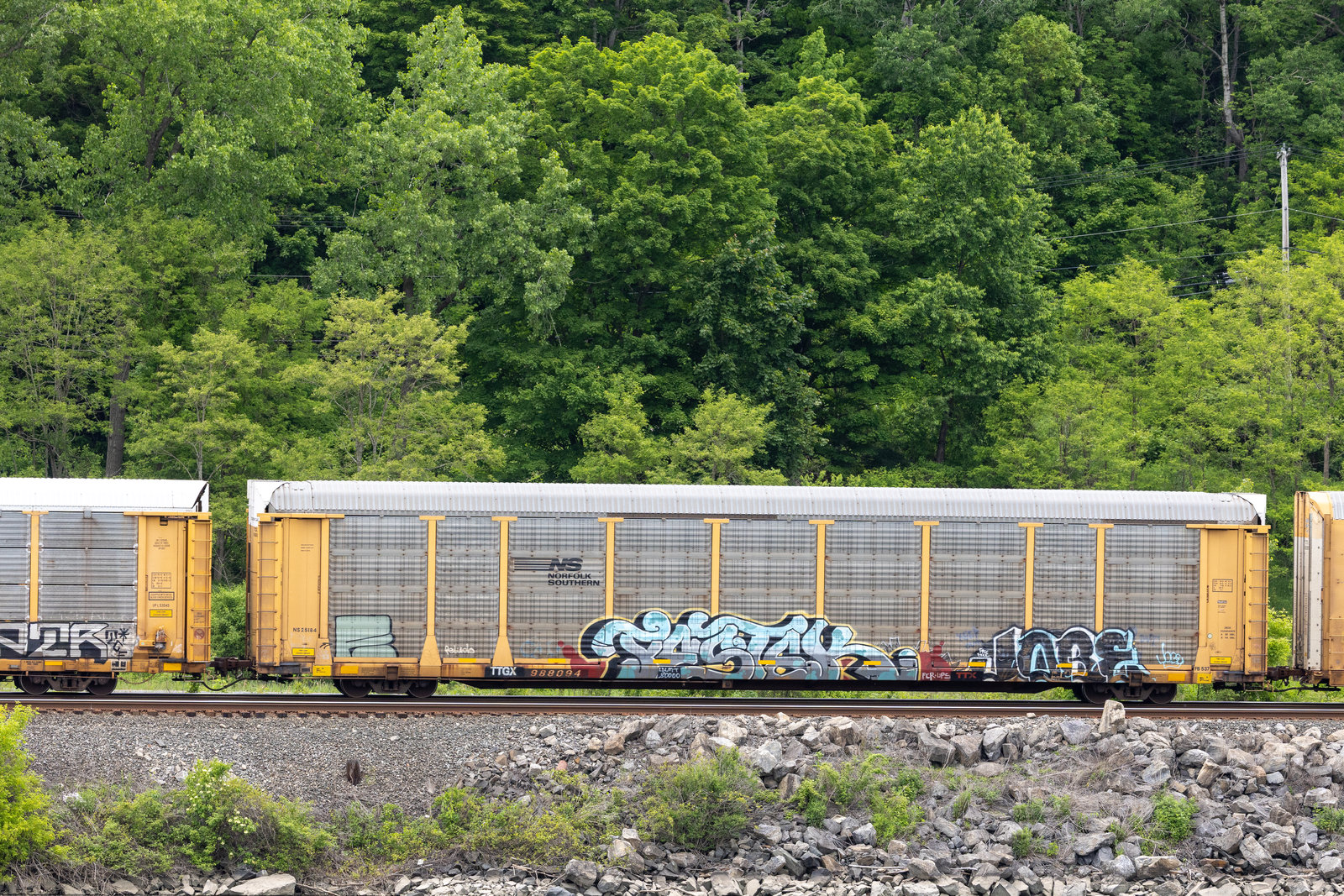TTGX 988094