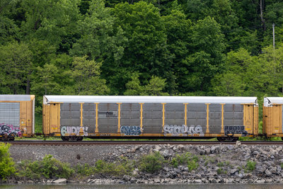 TTGX 941931
