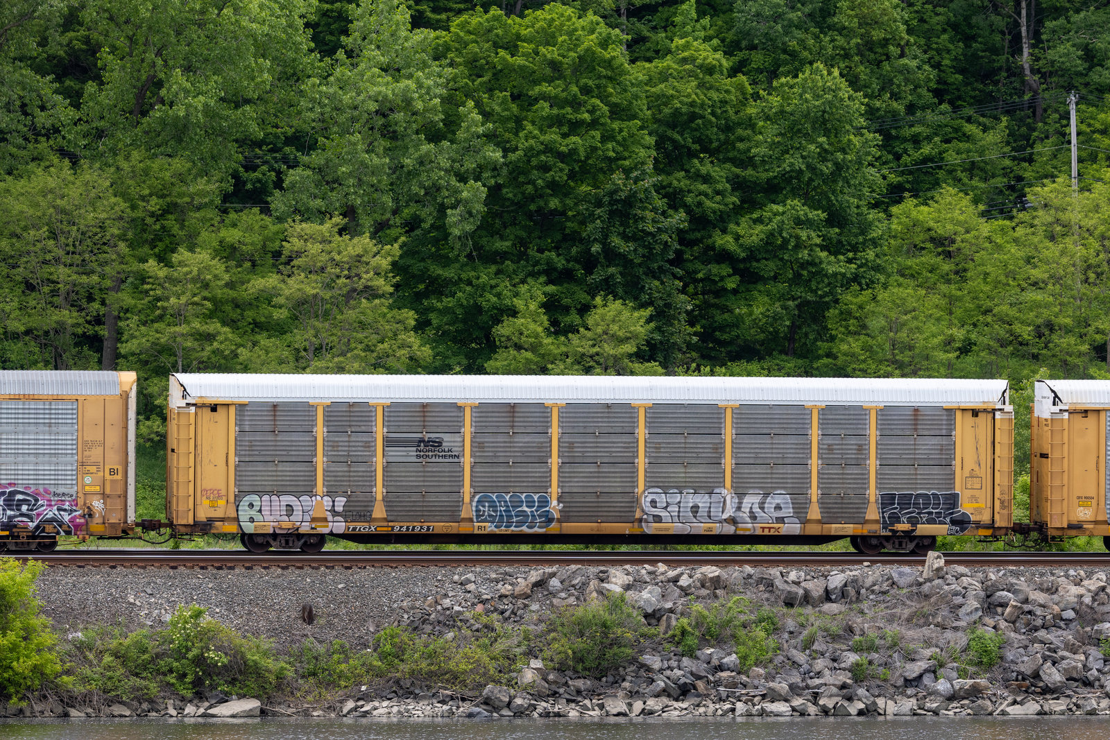 TTGX 941931