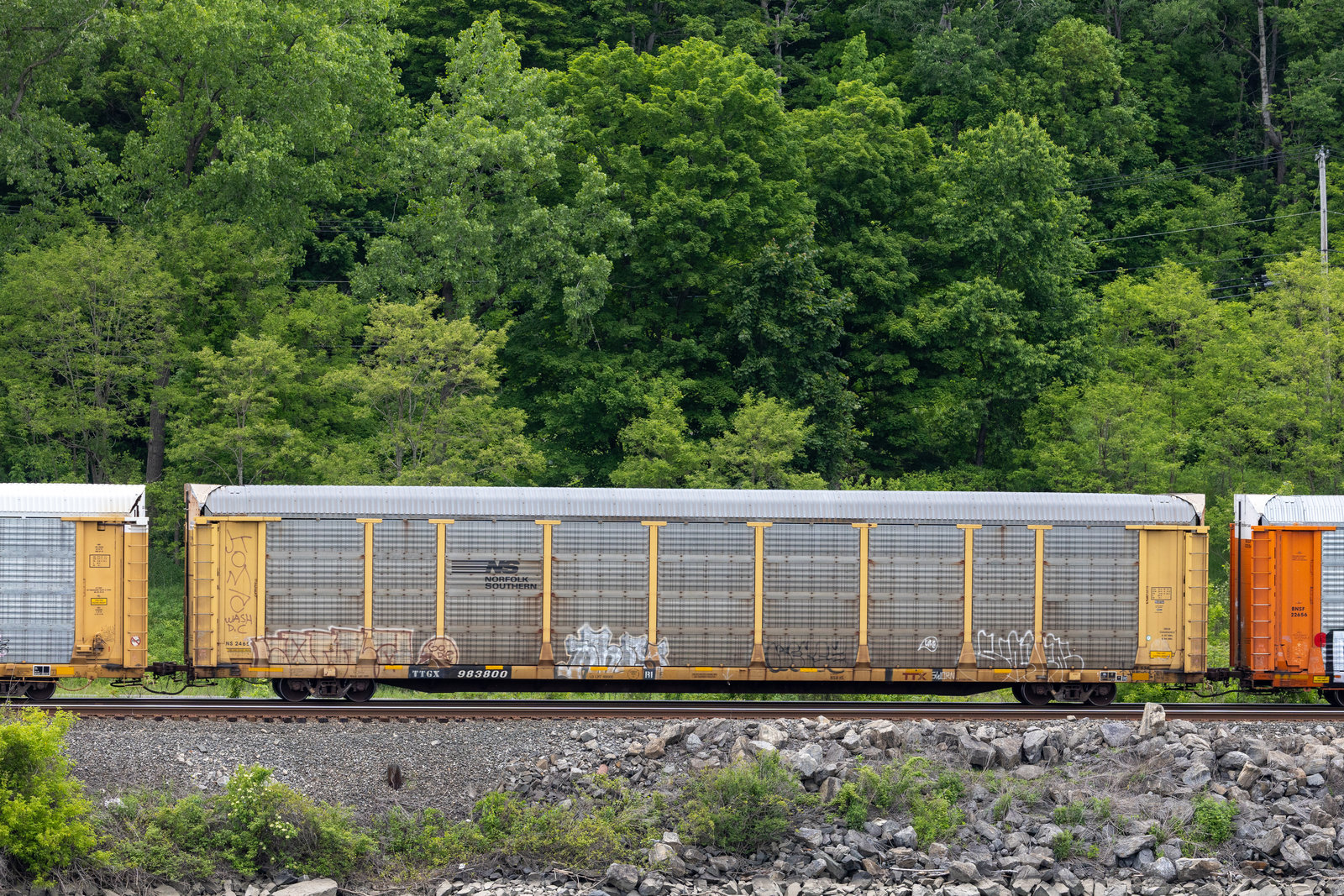 TTGX 983800