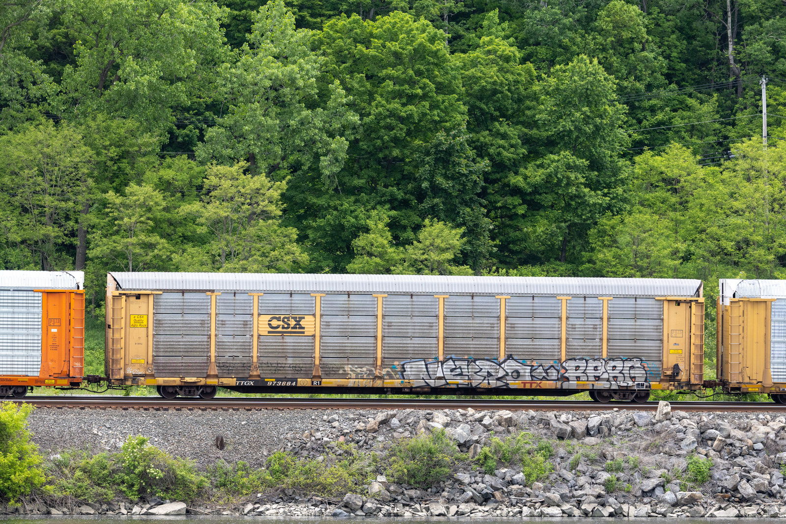 TTGX 973884