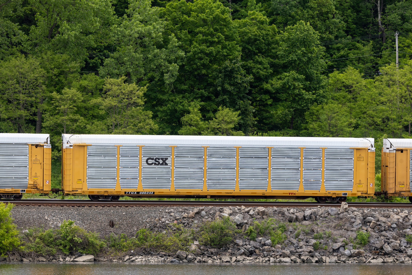 TTGX 986343