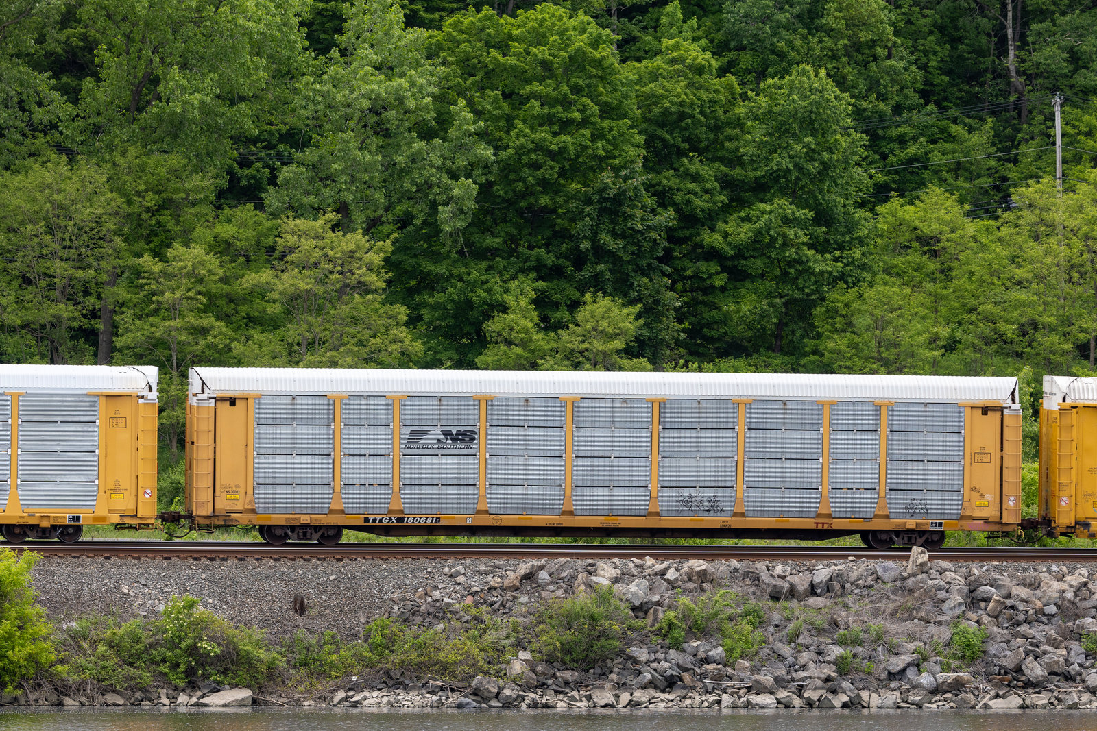 TTGX 160681