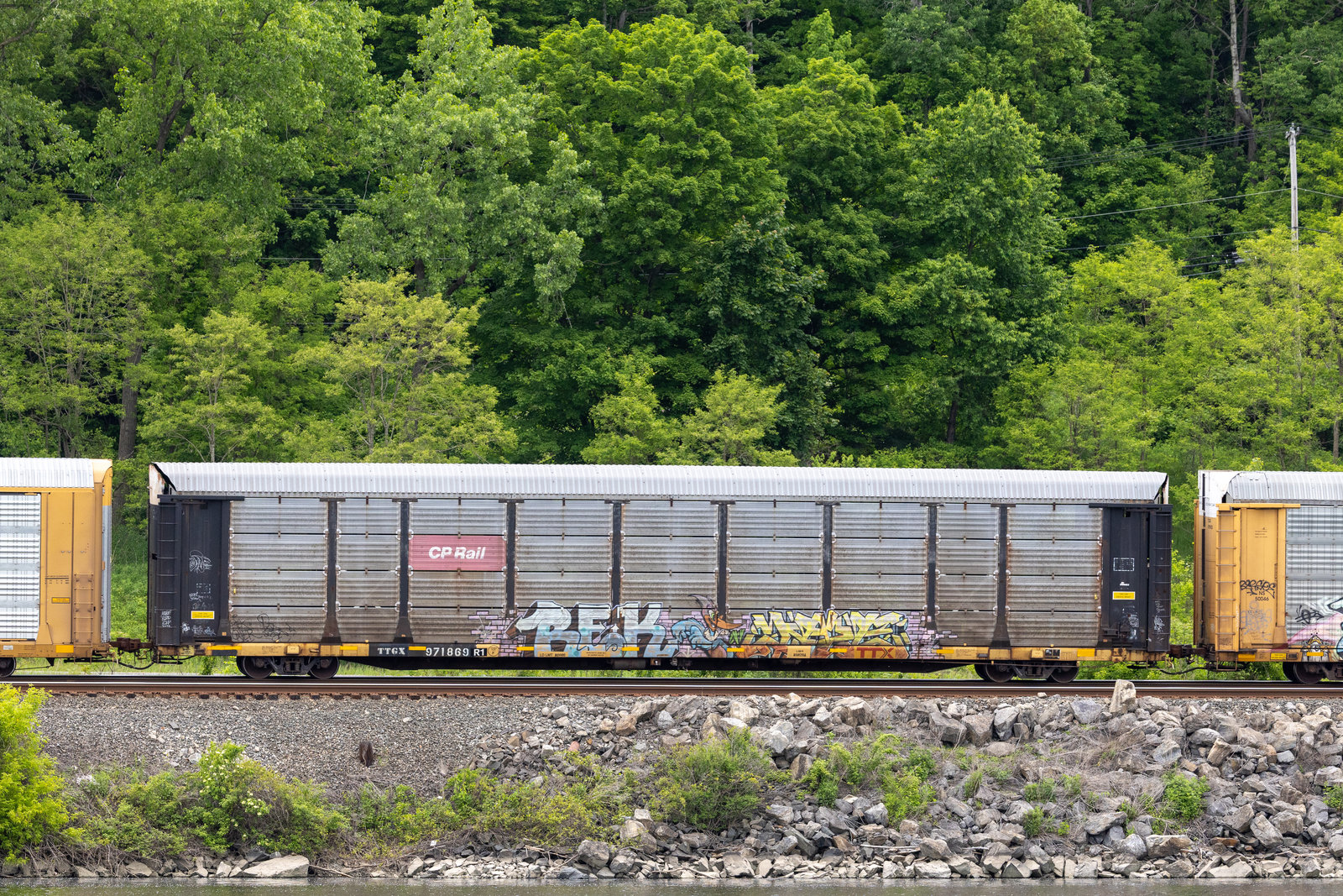 TTGX 971869