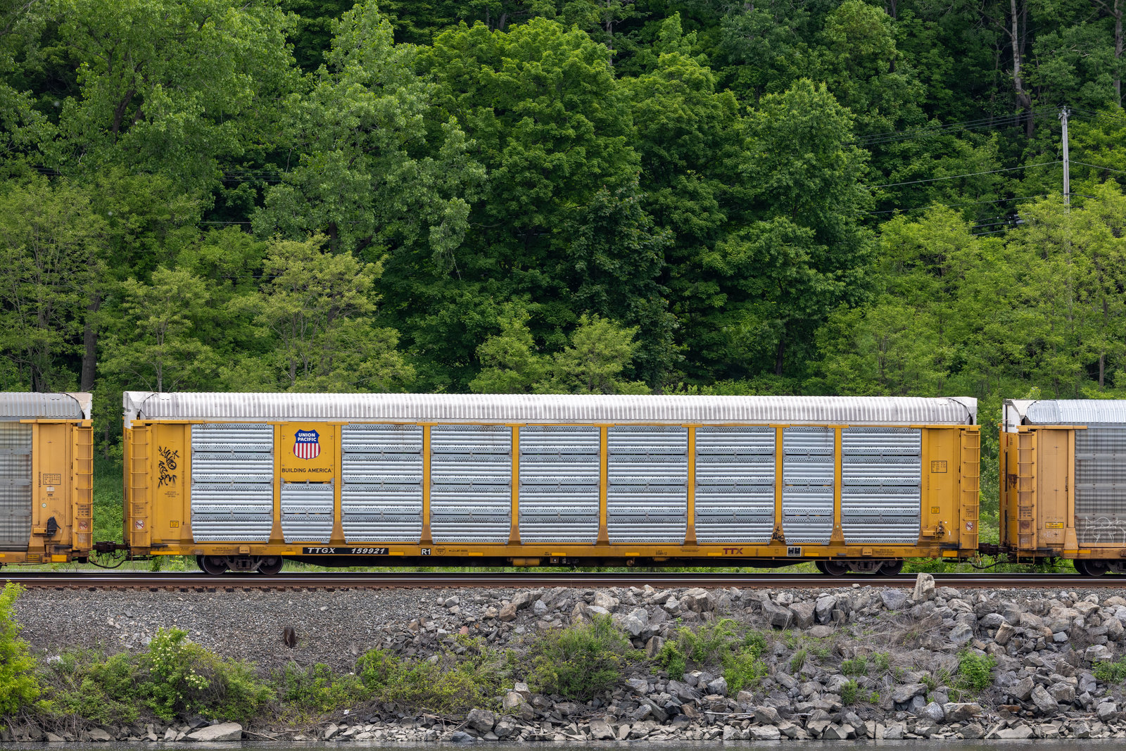 TTGX 159921
