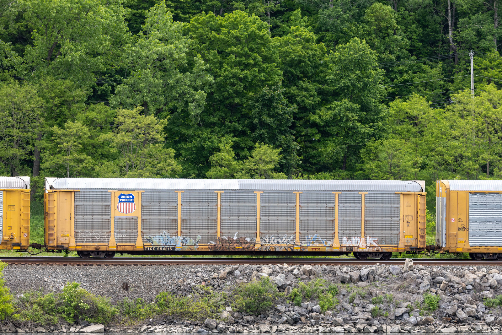 TTGX 994215