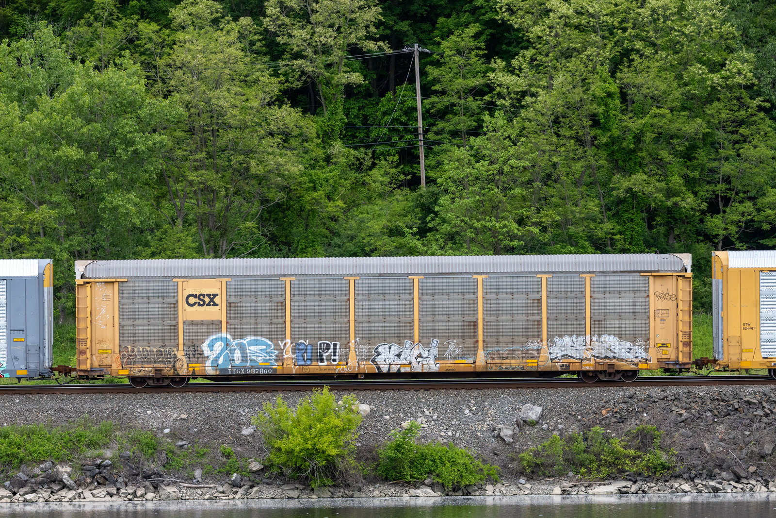TTGX 987860