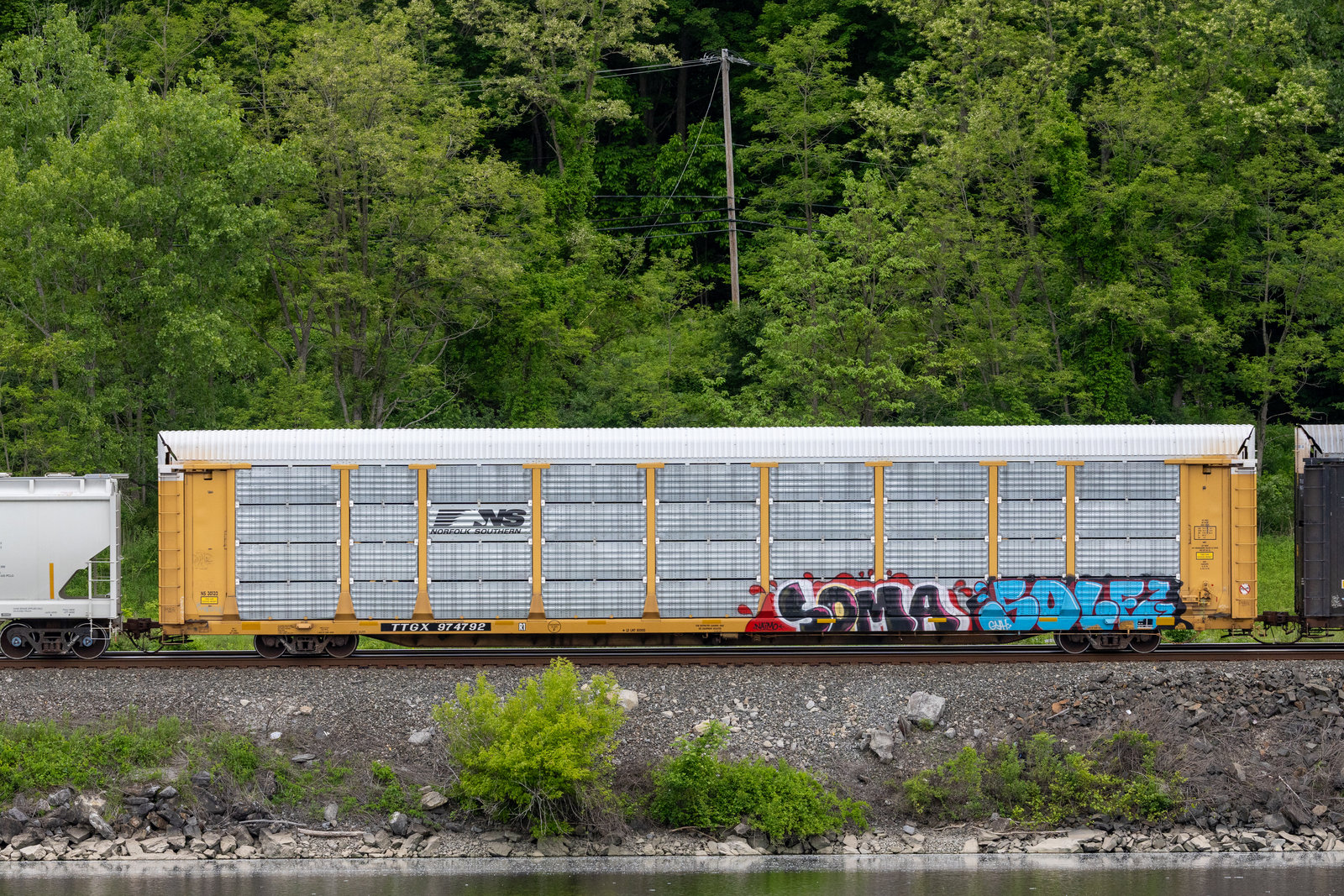 TTGX 974792