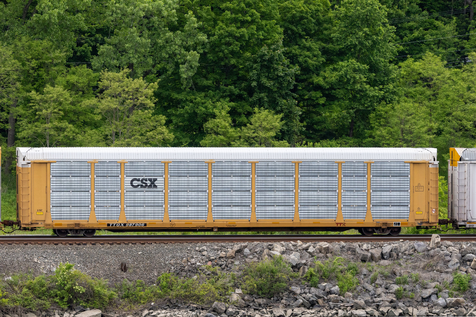 TTGX 987906