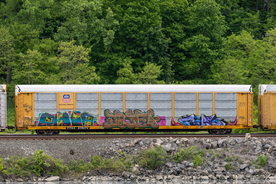 TTGX 979274