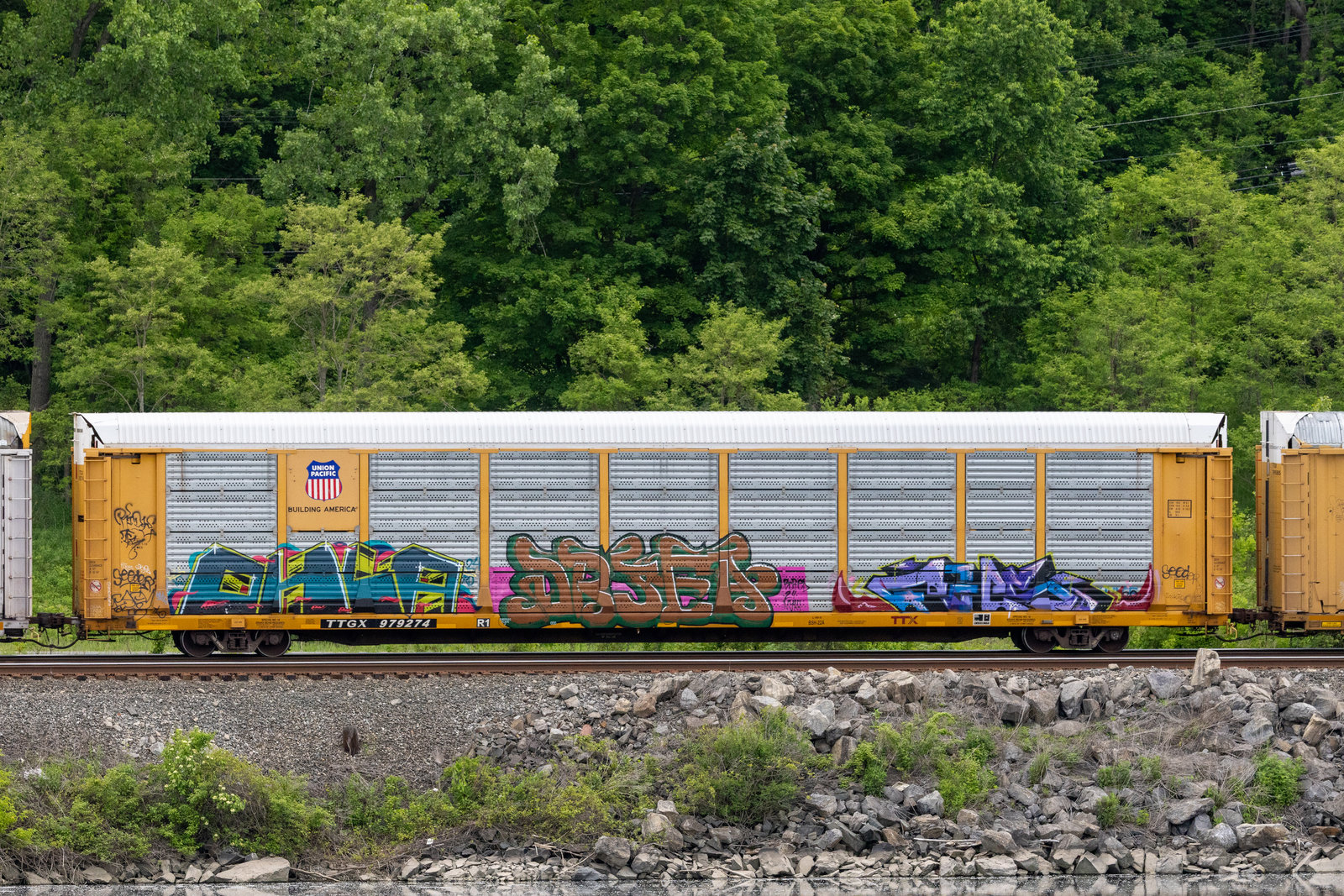 TTGX 979274