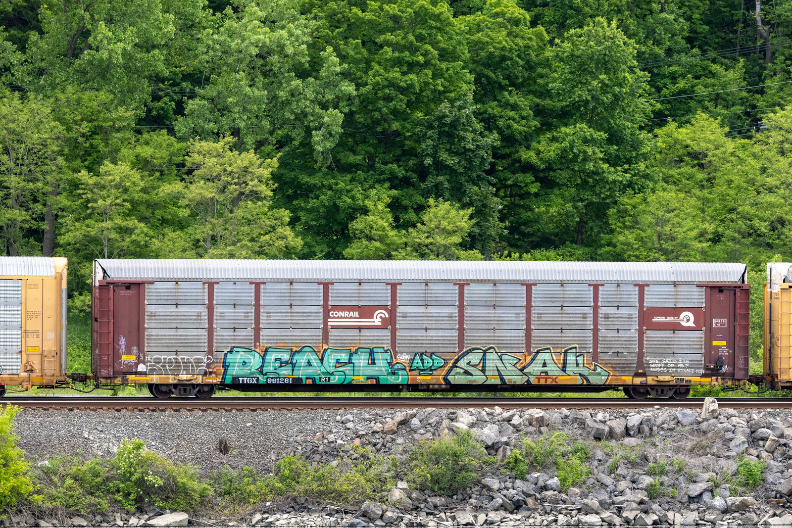 TTGX 991281