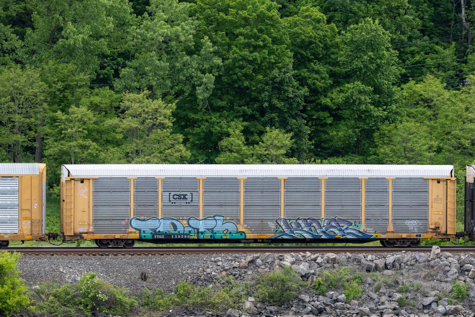 TTGX 159291