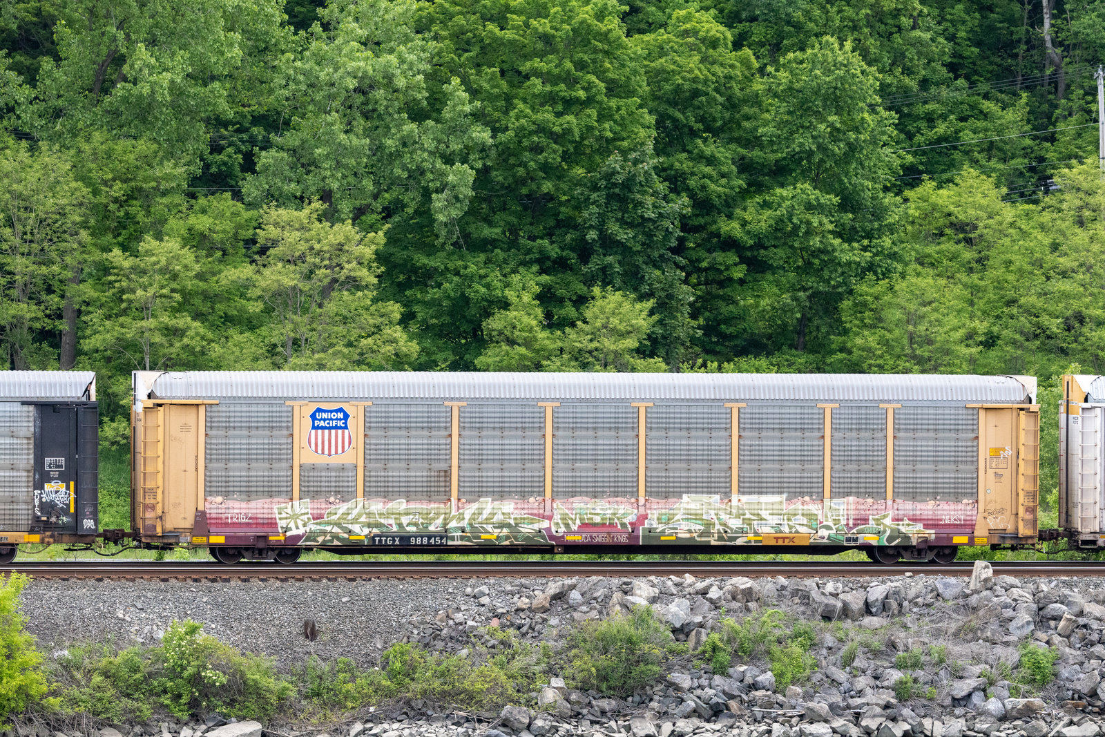 TTGX 988454