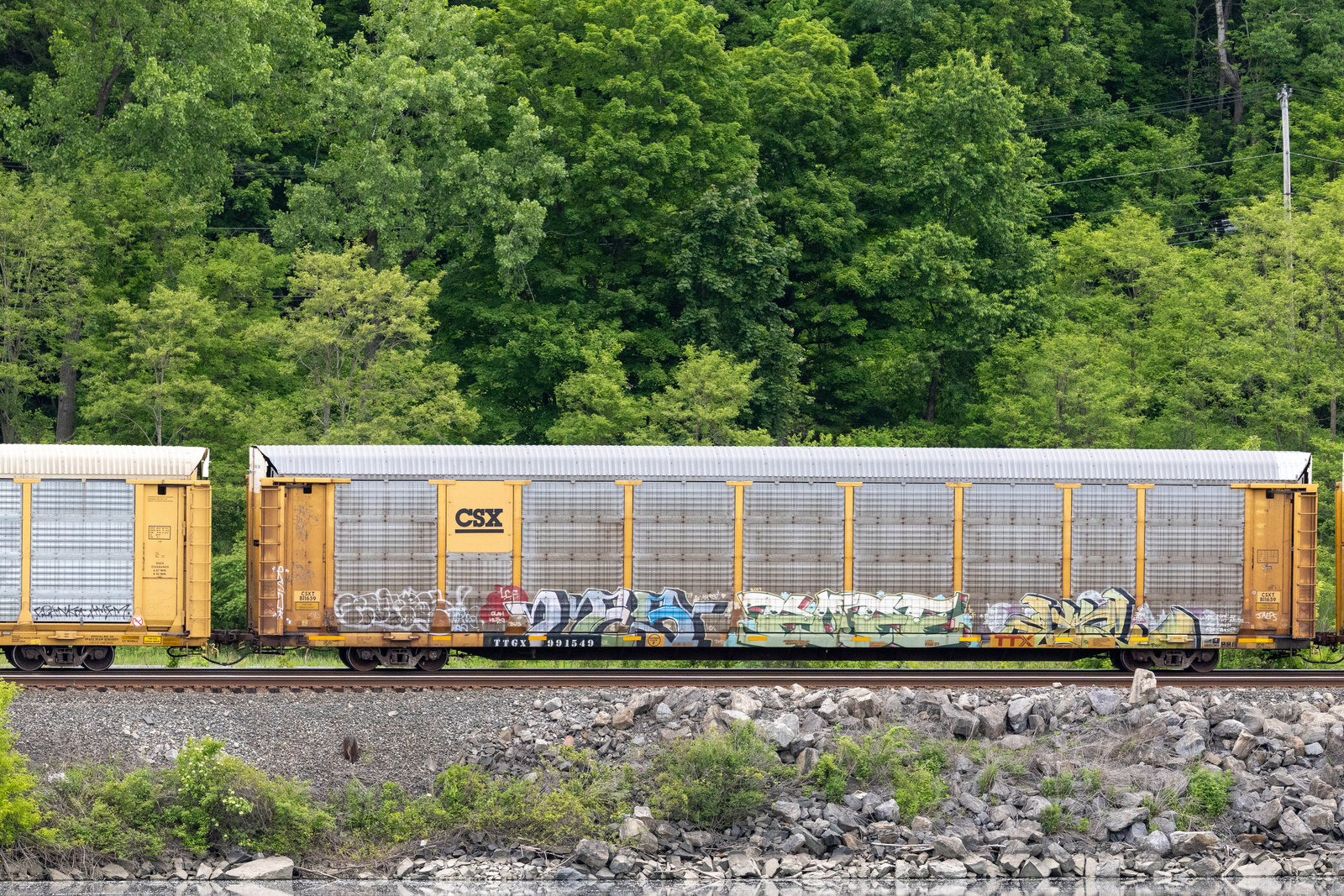 TTGX 991549