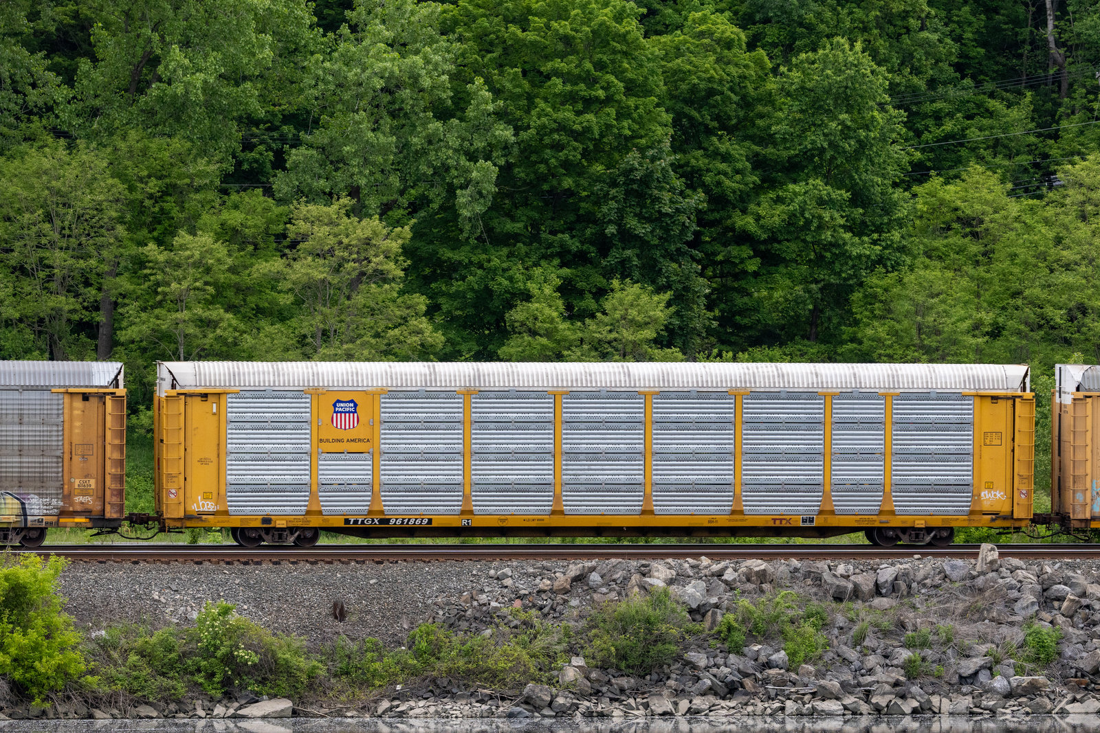 TTGX 961869