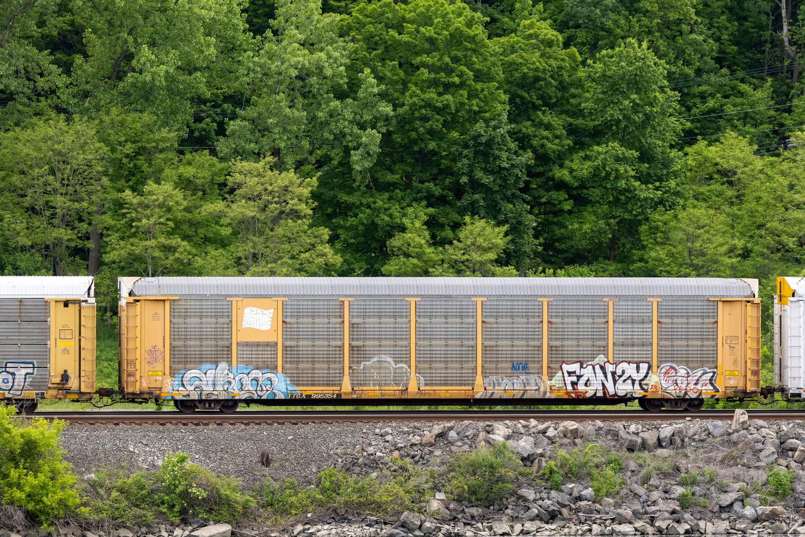 TTGX 995354