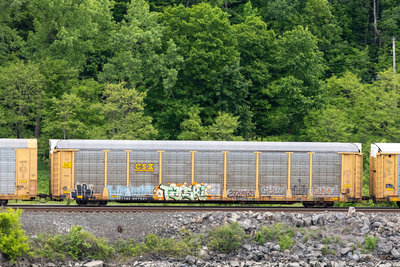 TTGX 987921