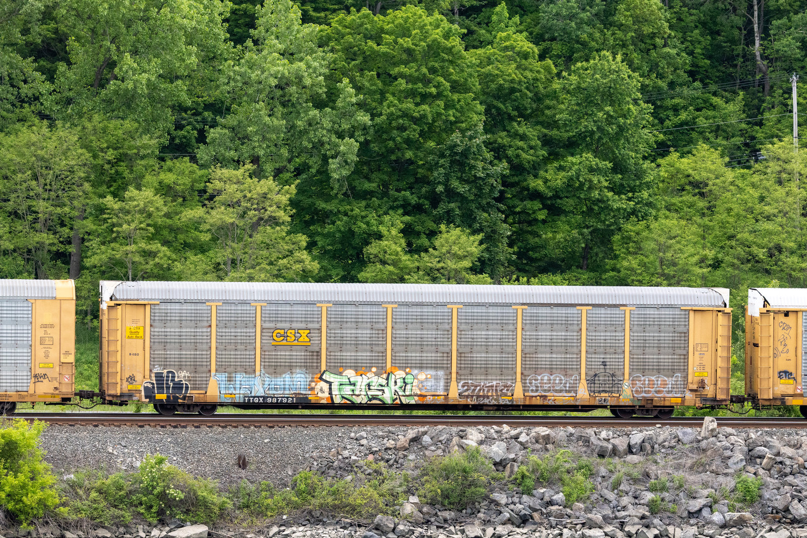 TTGX 987921