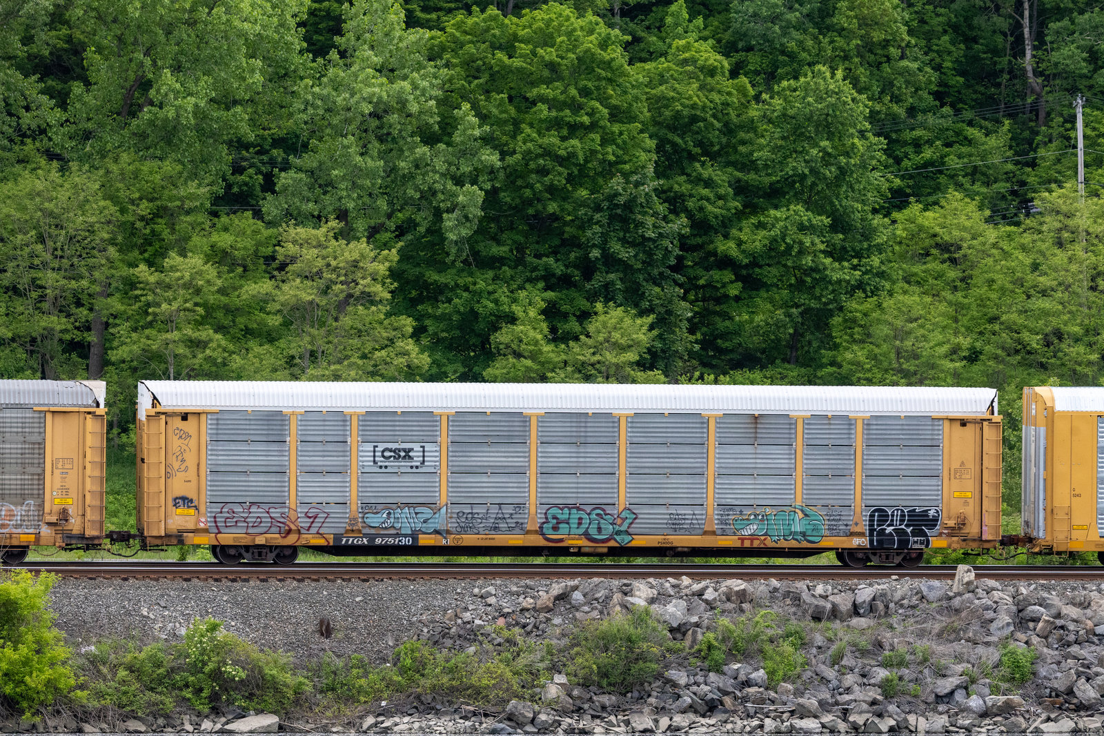 TTGX 975130