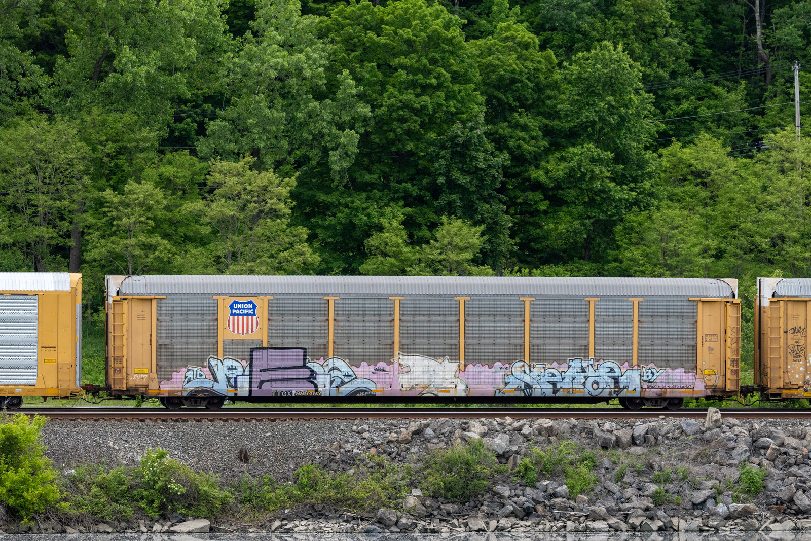 TTGX 996463
