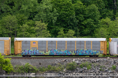 TTGX 982063