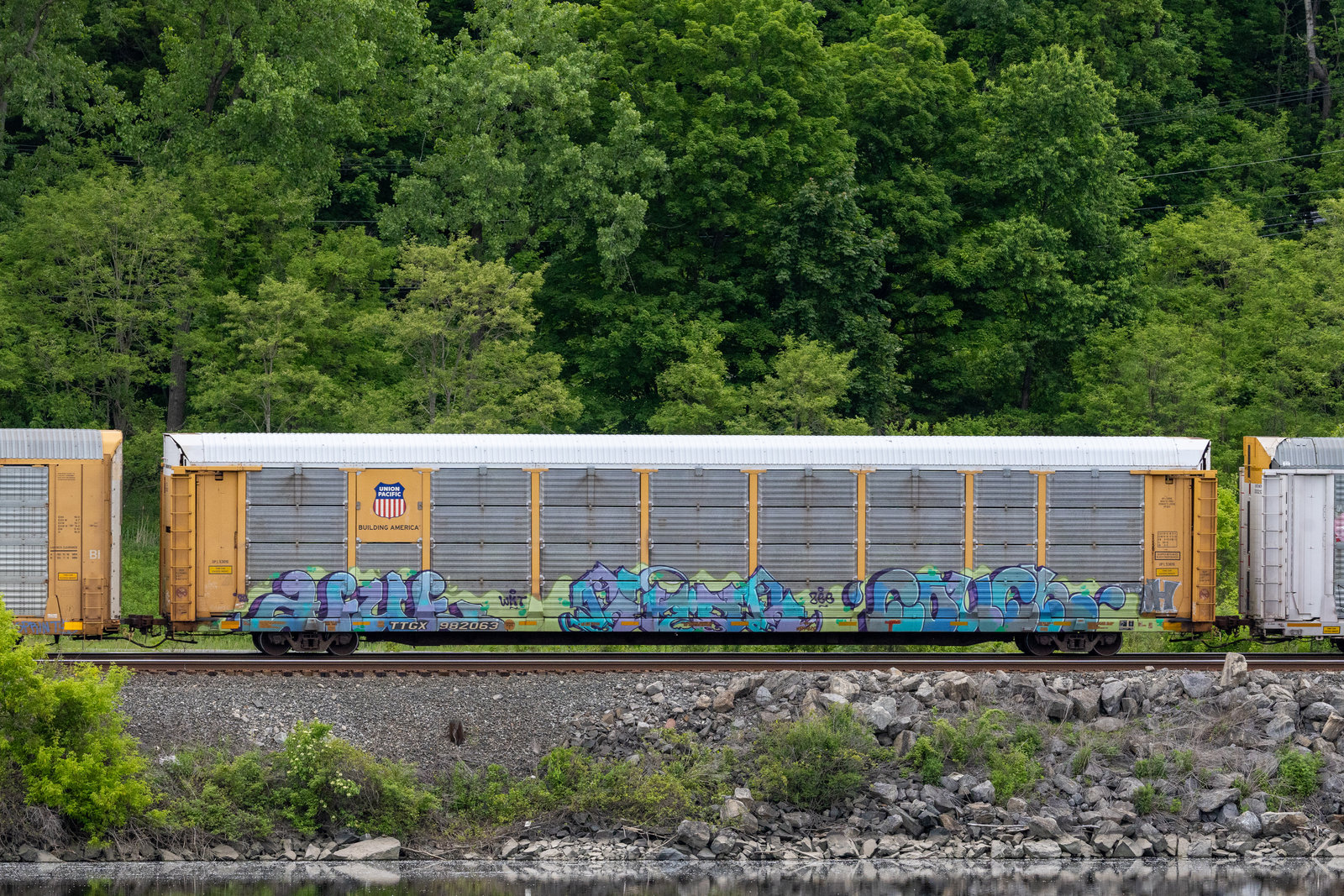 TTGX 982063