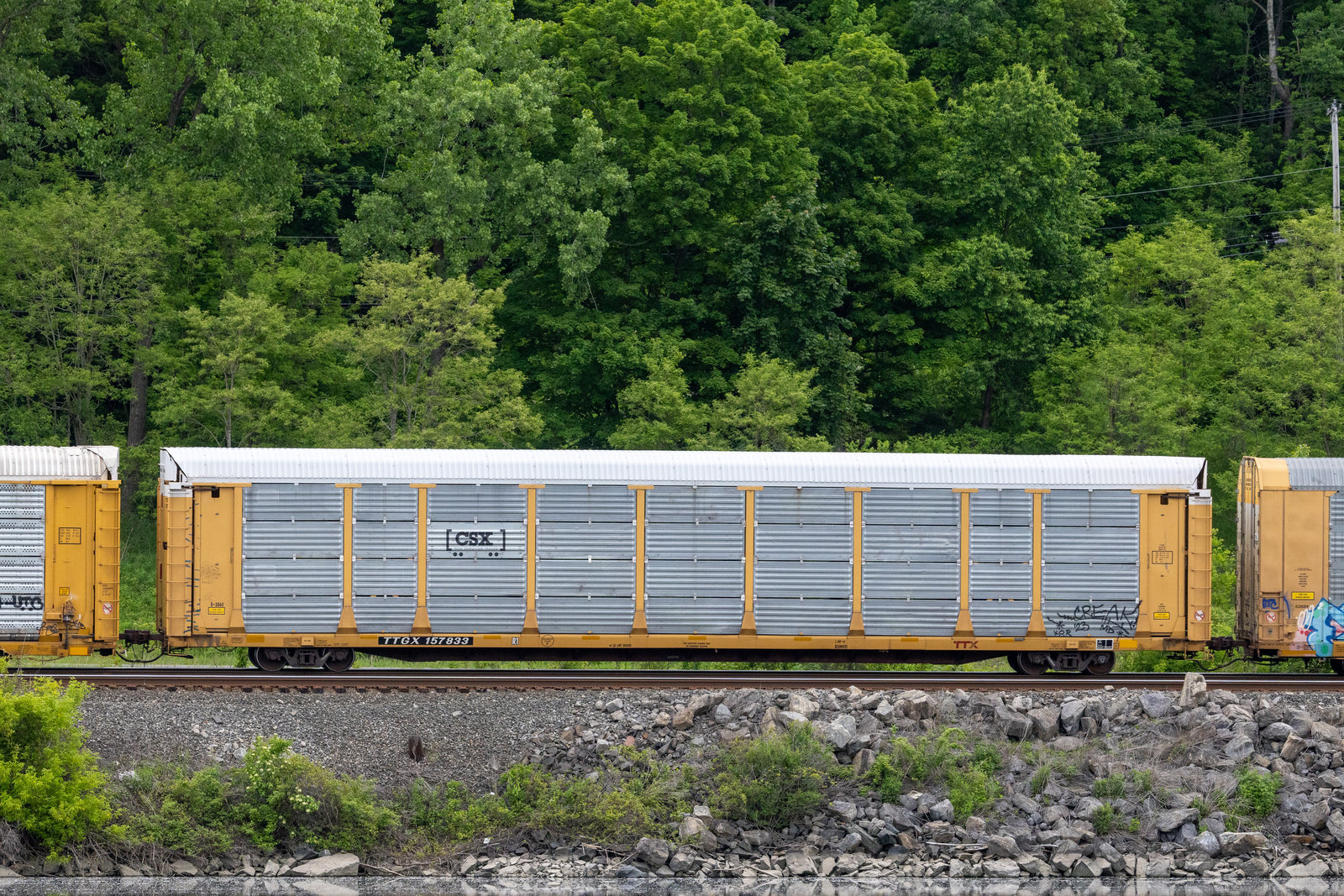 TTGX 157833