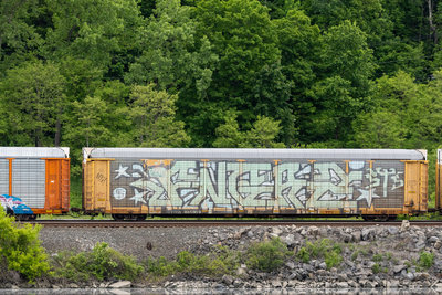 TTGX 995609