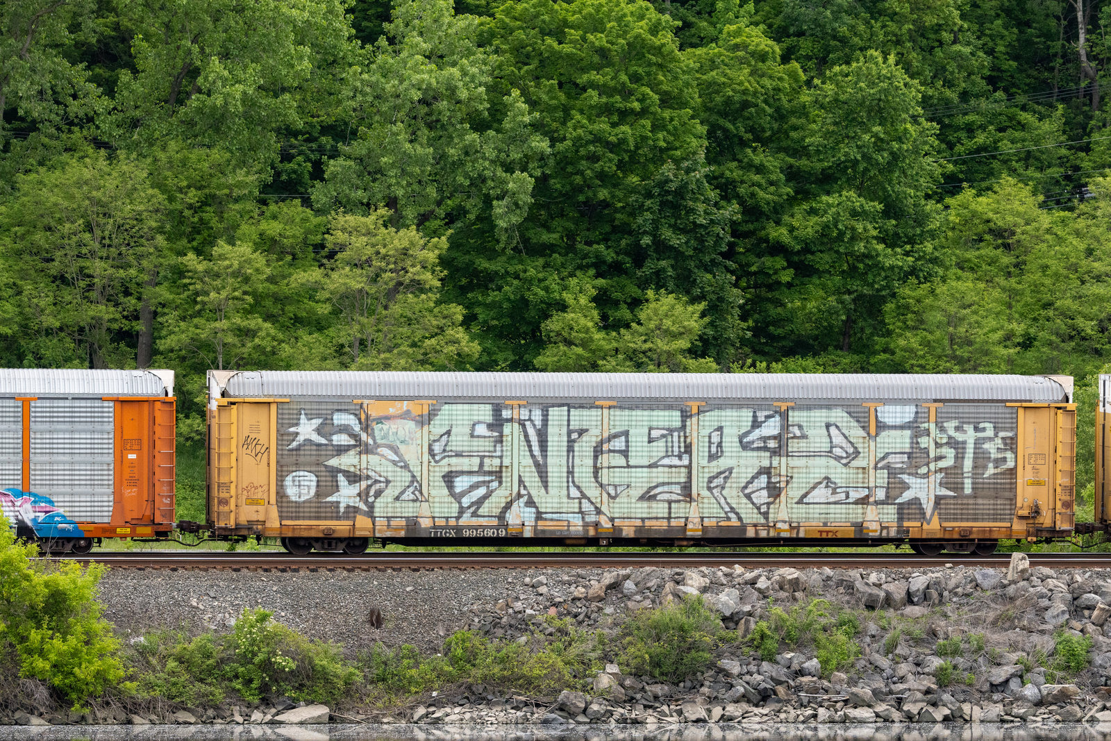 TTGX 995609