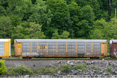 TTGX 993107