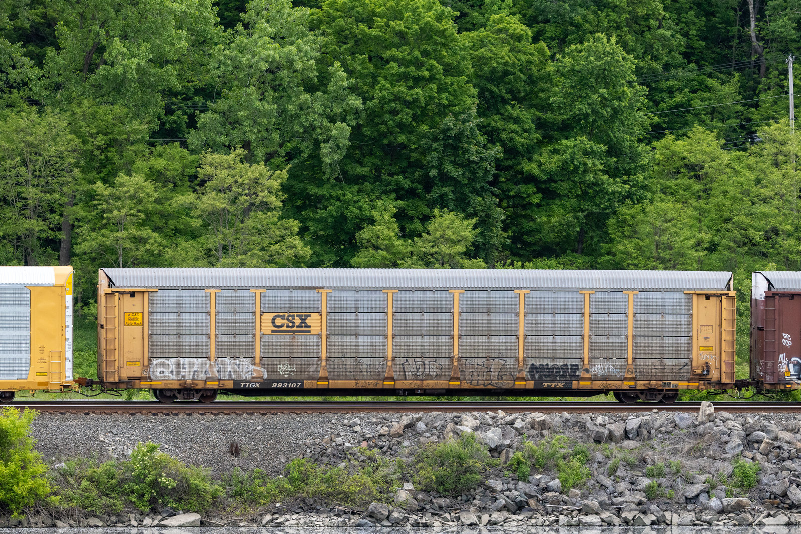 TTGX 993107