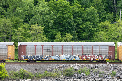 TTGX 978602