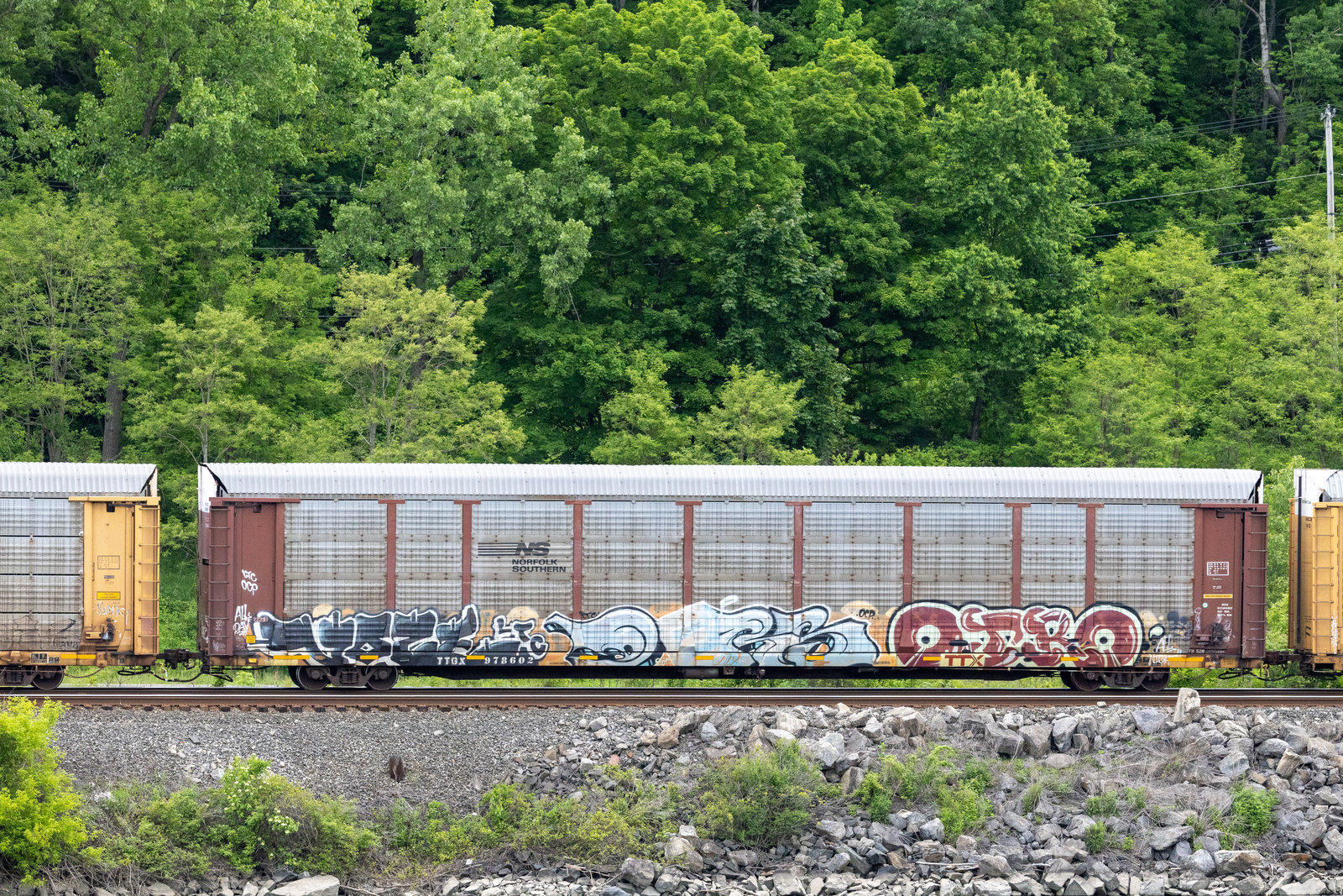 TTGX 978602