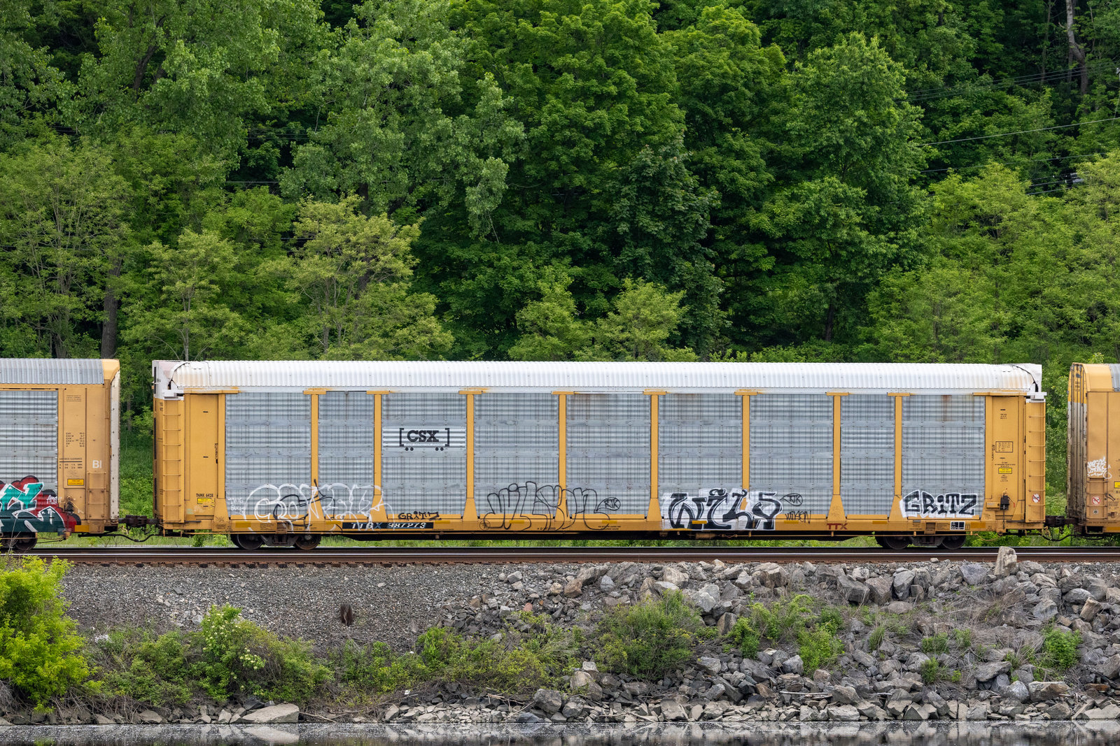 TTGX 987273