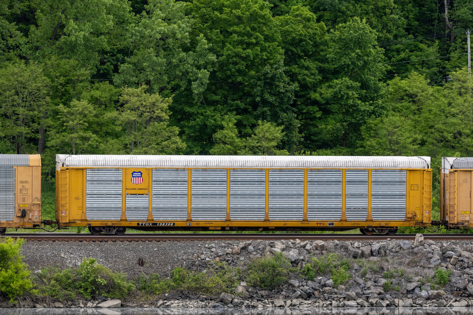 TTGX 158399