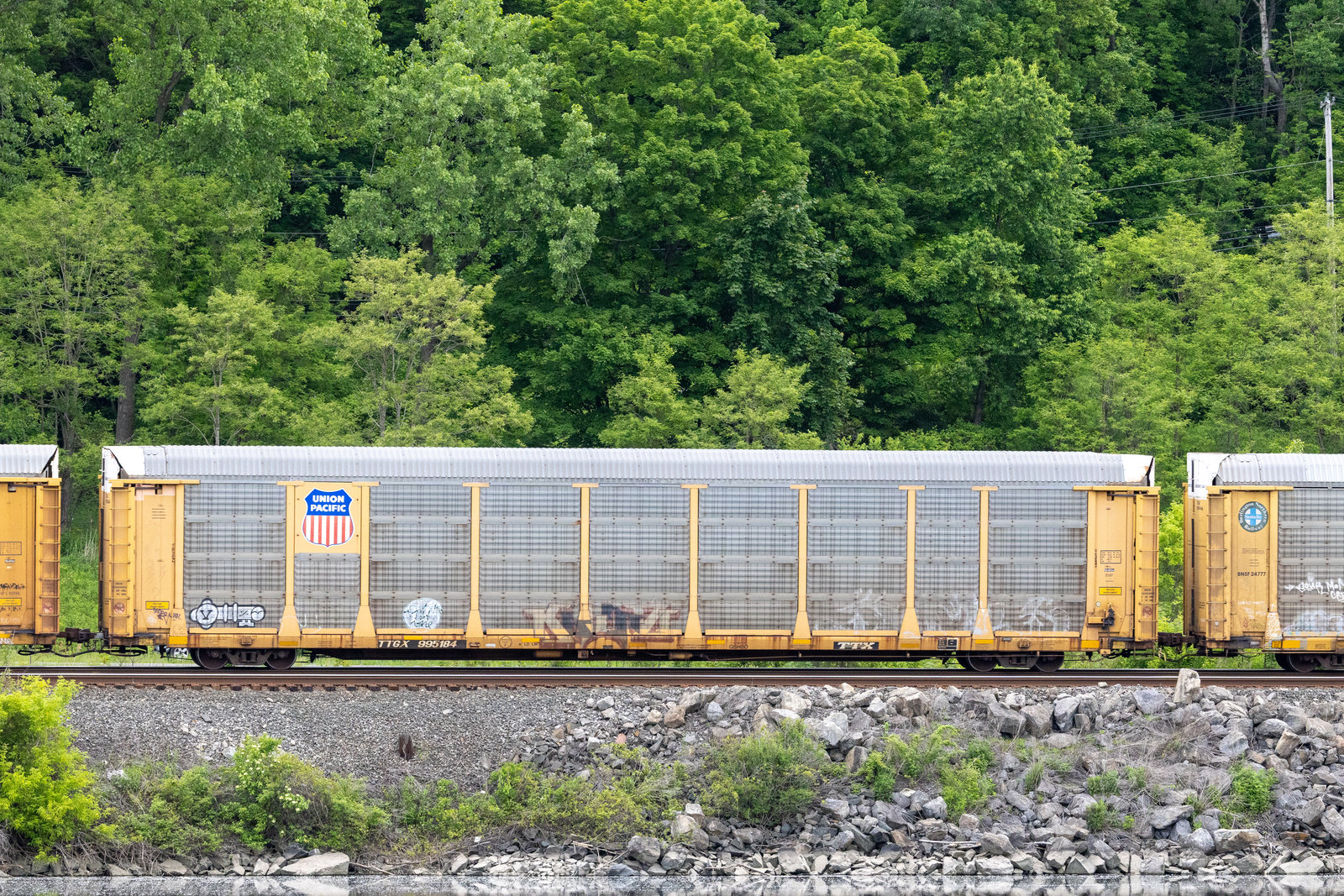 TTGX 995184