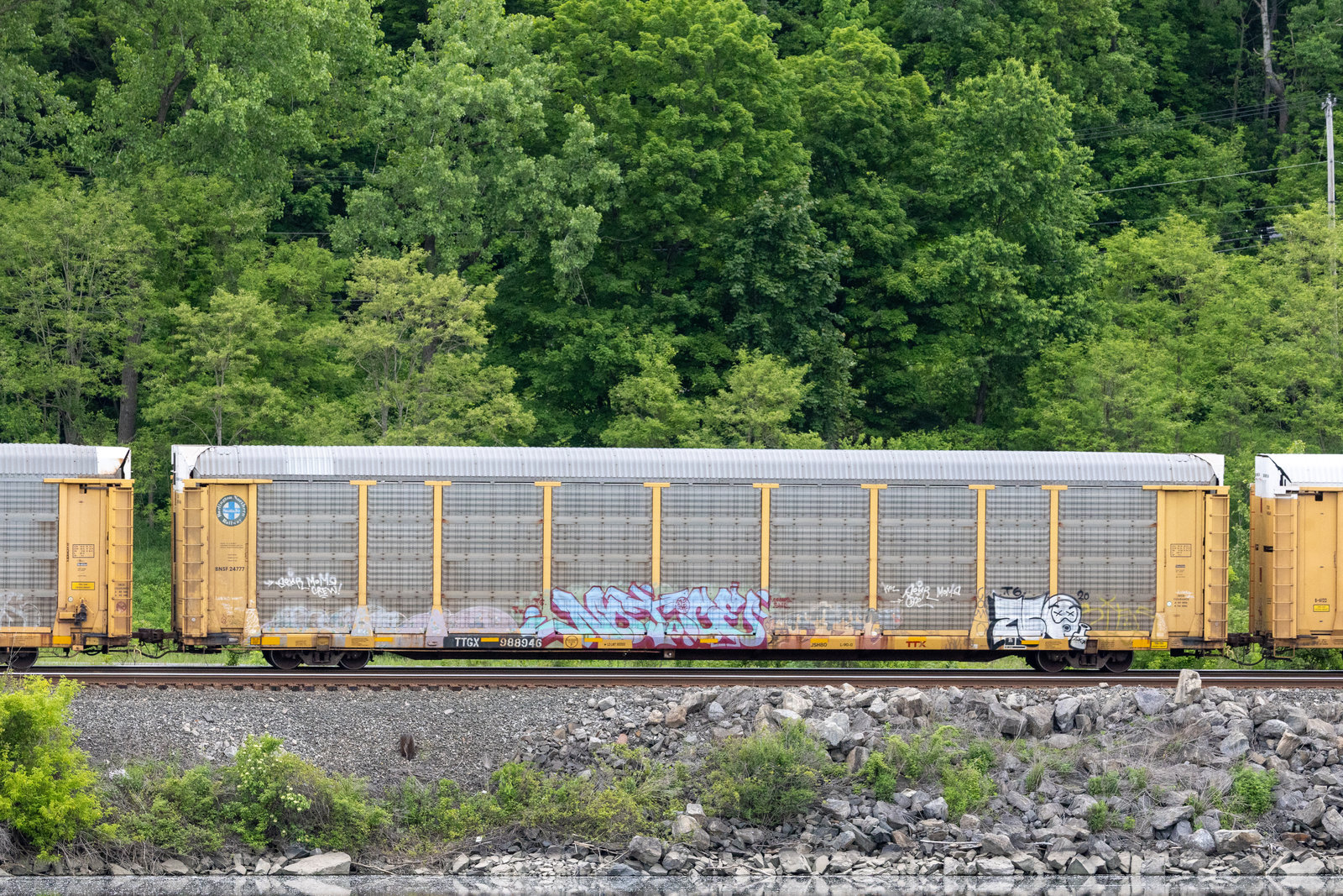 TTGX 988946