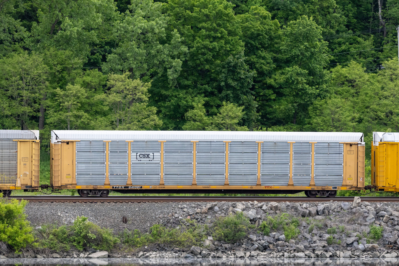 TTGX 941061