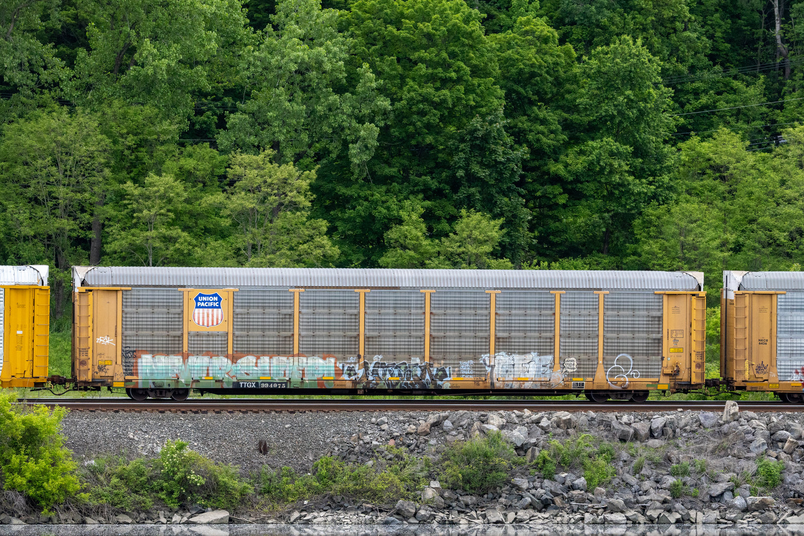 TTGX 994075