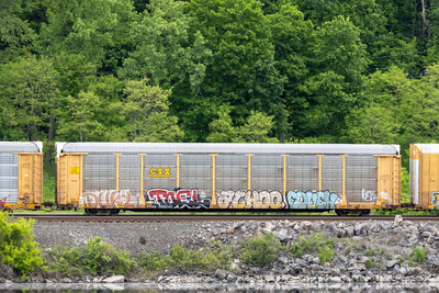 TTGX 996242
