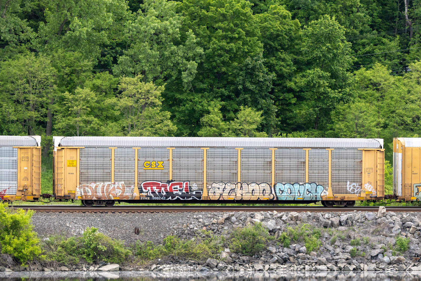 TTGX 996242